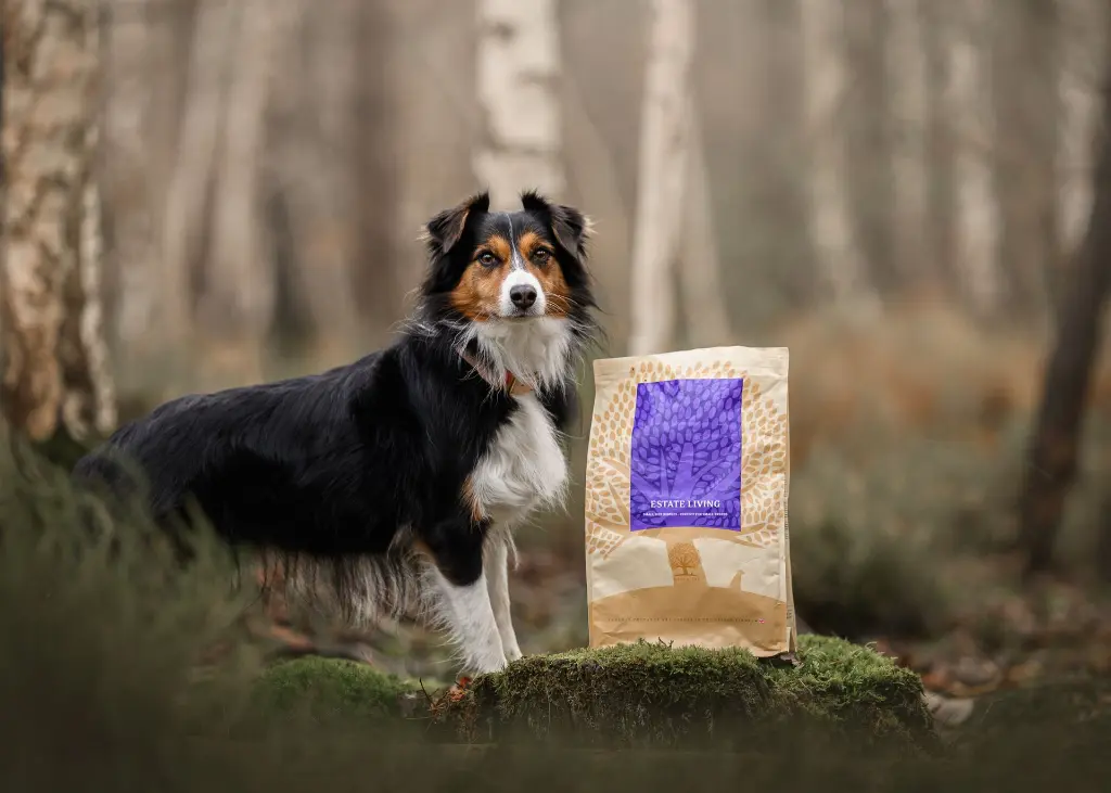 Estate Living 2.5 @amieaussie.webp