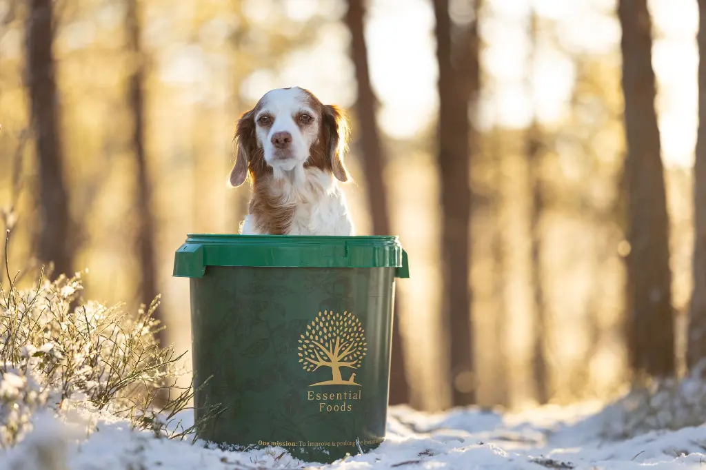 foodbox @vloggingpaws.webp