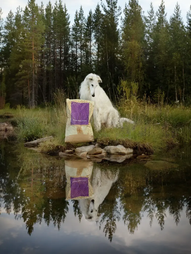 HIGHLAND LIVING_MAIN PHOTO.webp