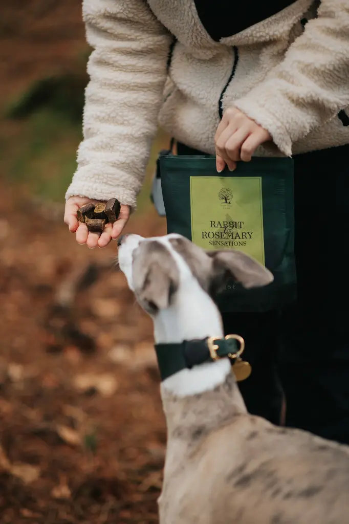 Sensations C @whippetvilja.webp