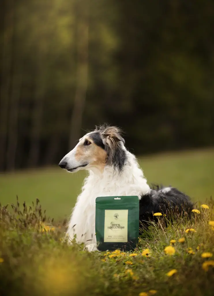 Sensations @zarwoe.oligarch.webp