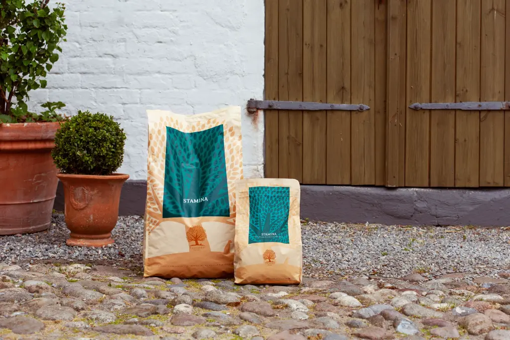 STAMINA_Product Image_Highres_Essential Foods .webp