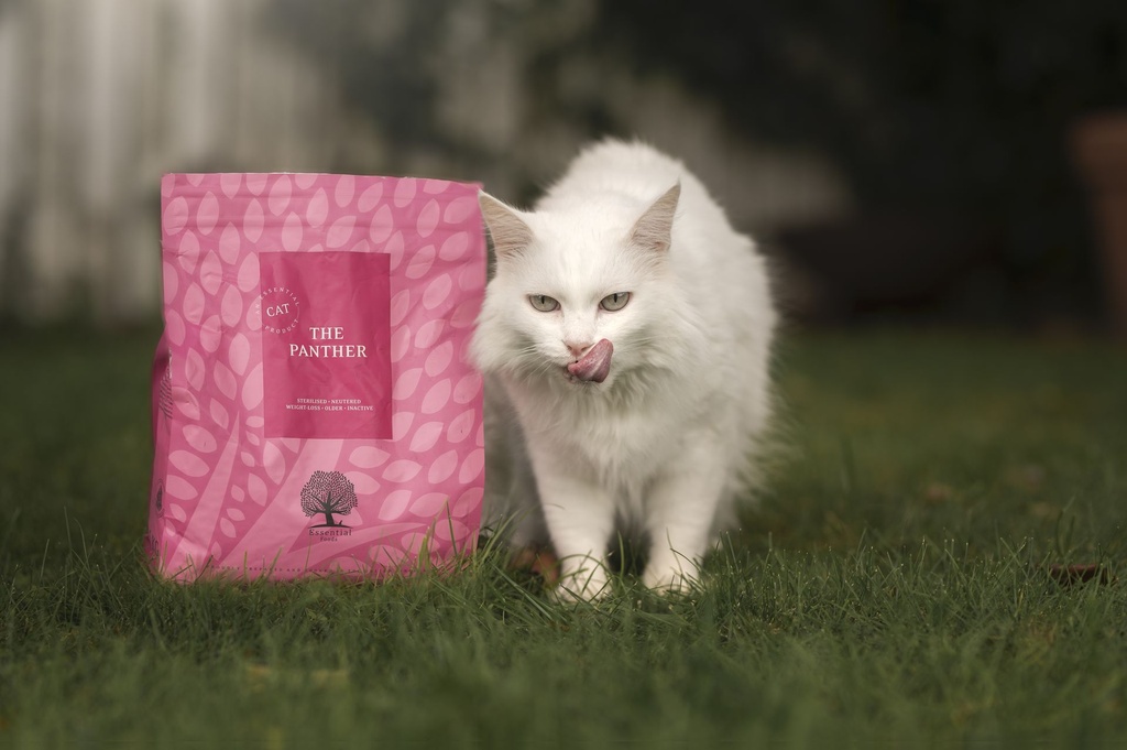 panther 3_ @miles_whippet.jpg