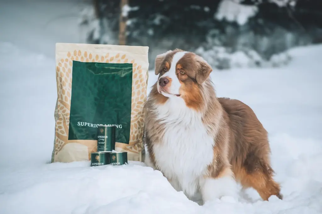 Superior x winter from @blueshade_aussies.webp