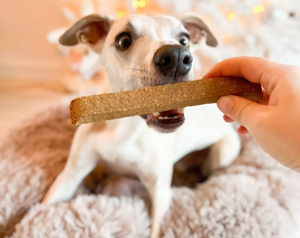 take break foto vis.webp