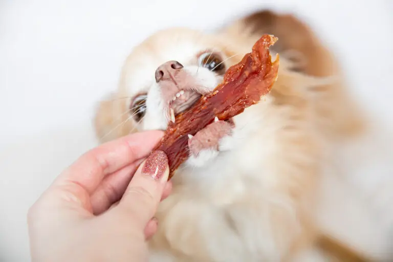 eendenfilet snacks.webp