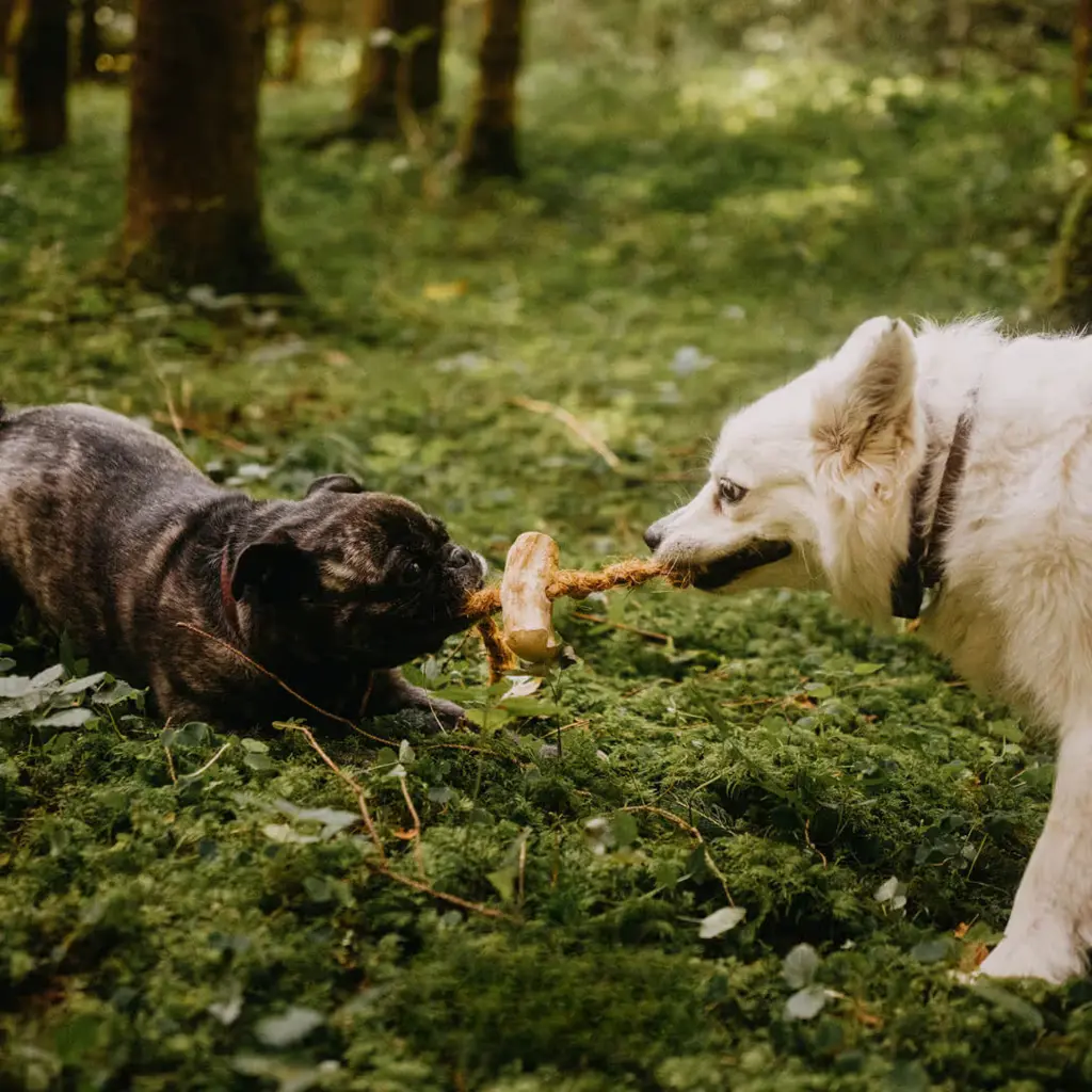 HT koffie kokos foto.webp