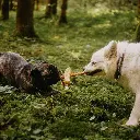 HT koffie kokos foto.webp