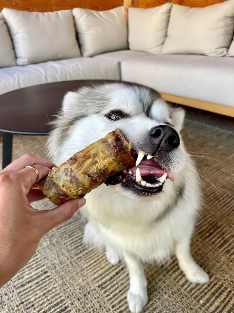 paardenluchtpijp kico.webp