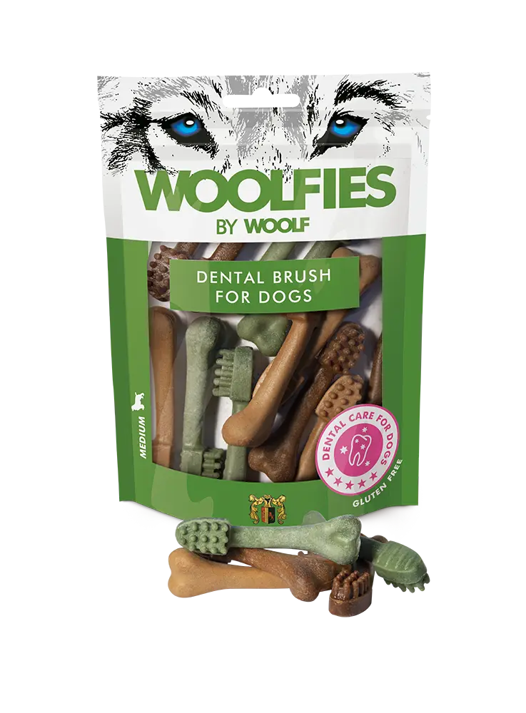2001 Woolfies Dental Brush S.webp