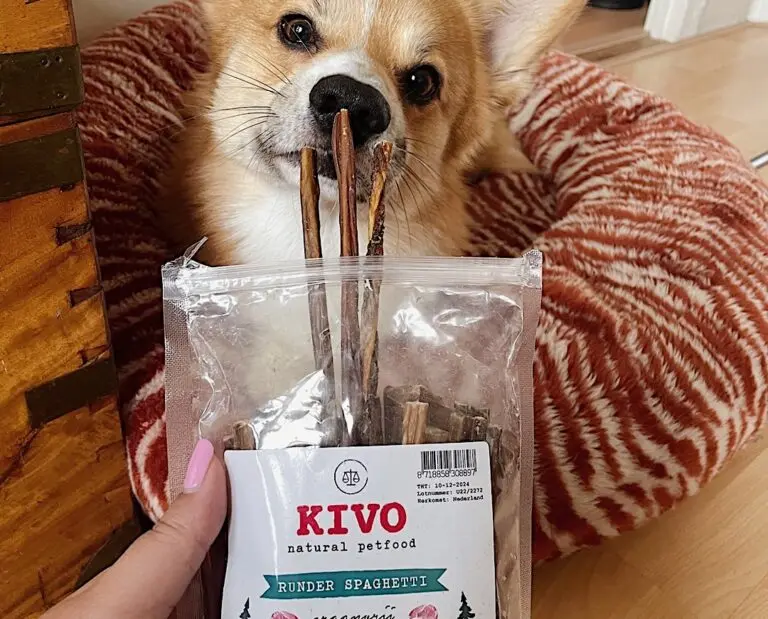 runderspagh kivo.webp