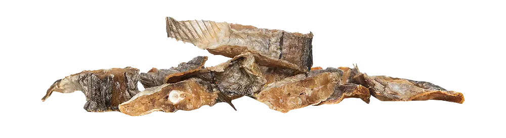 KIVO : Heekmoot Filet 