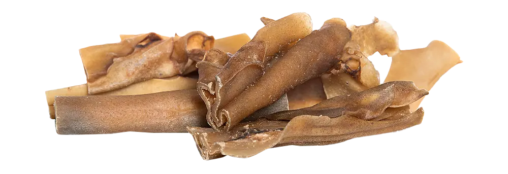 KIVO : Runderkophuid Gezaagd 