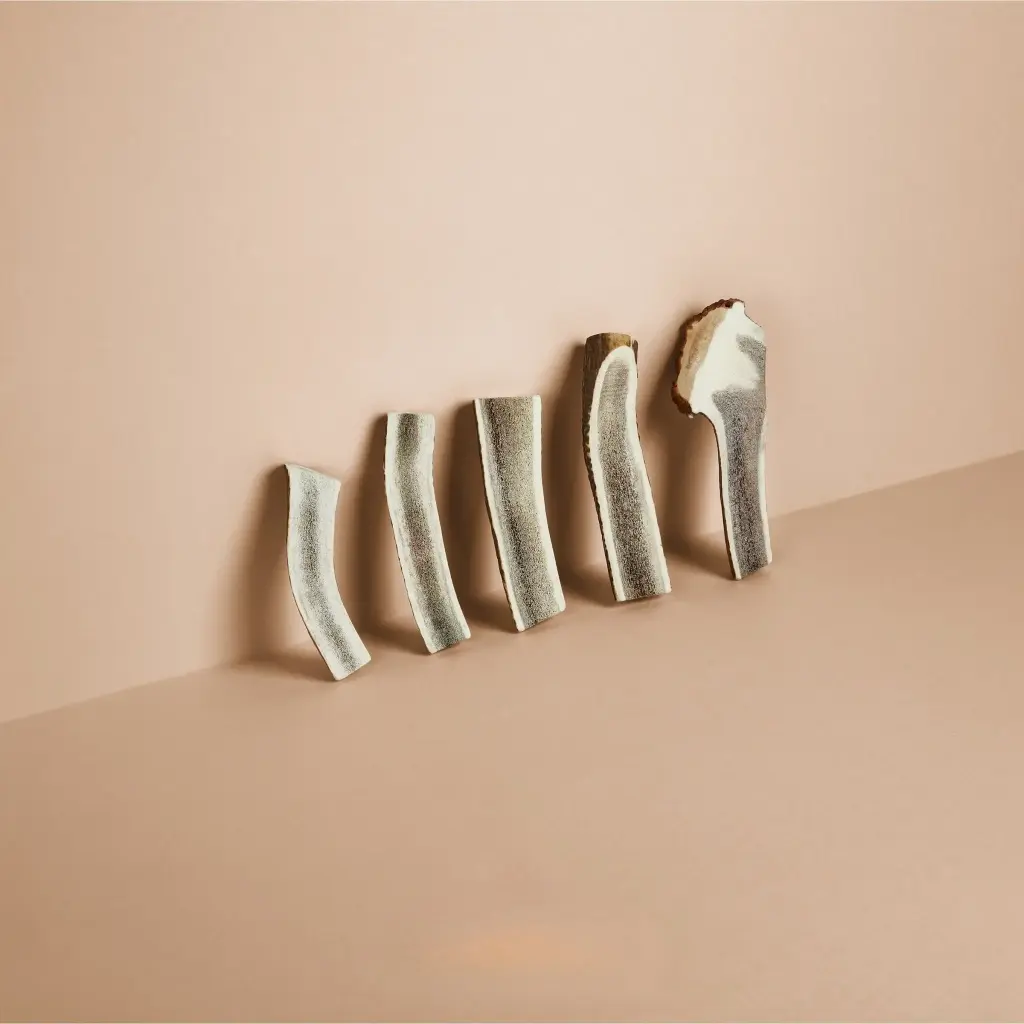 Happy Tails : Hertengewei Gehalveerd - XS