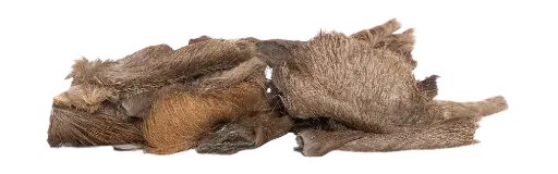 [4DC0310022] KIVO : Hertenkophuid met Haar 