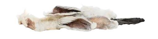 [4DC0310059] KIVO : Konijnenoren met Haar