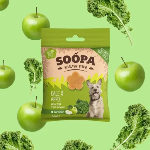 [4DC0470018] Soopa : Healthy Bites : Kale & Apple