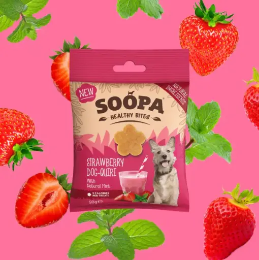 [4DC0470023] Soopa : Healthy Bites : Strawberry Dog-Quiri 