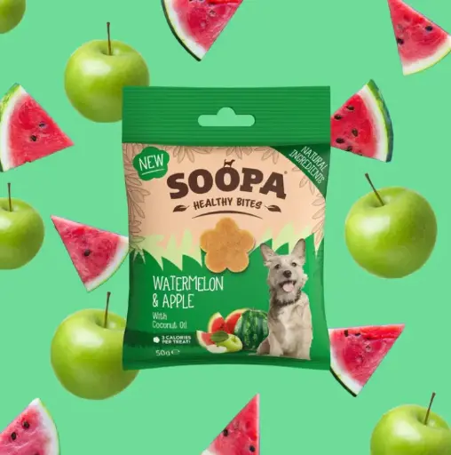 [4DC0470024] Soopa : Healthy Bites : Watermelon & Apple 