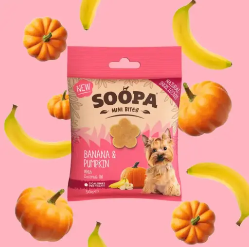 [4DC0470026] Soopa : Mini Healthy Bites : Banana & Pumpkin Bites