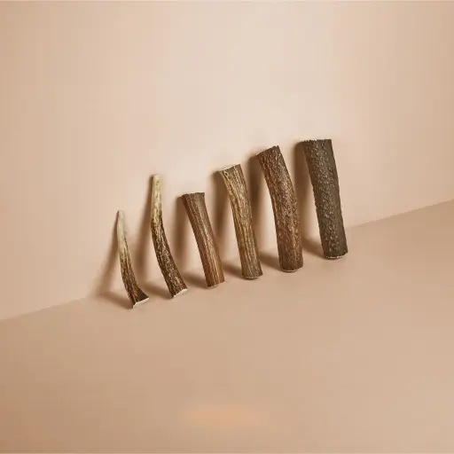 [4DC0120007] Happy Tails : Hertengewei - M