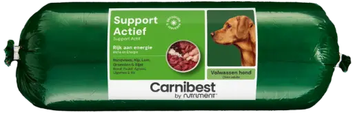 [4DC0130036] Carnibest : Support Actief - 500 g 
