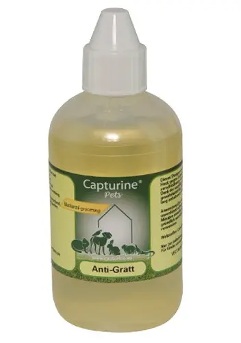[4DC0170006] Capturine : Anti-Gratt Shampoo