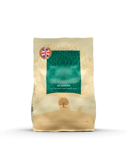 [4DC0190040] Essential Foods : Stamina - 2.5 kg